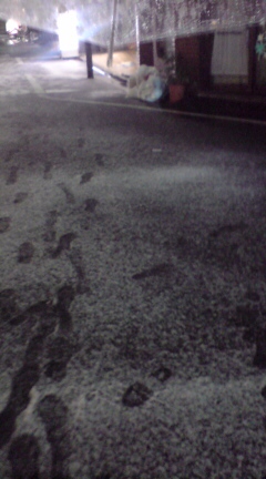 snow.jpg